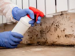 Trusted Pico Rivera, CA Mold Removal Services Experts